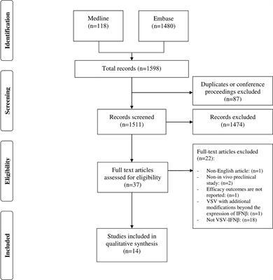 Preclinical efficacy of oncolytic VSV-IFNβ in treating cancer: A systematic review